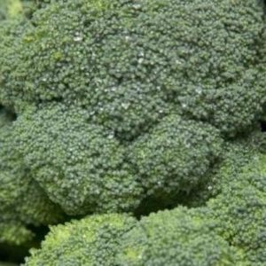 Eating broccoli 'could reduce skin cancer risk'