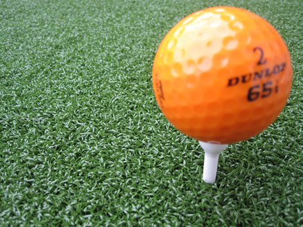 LawnsRus Putting