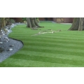 Edging - view 1